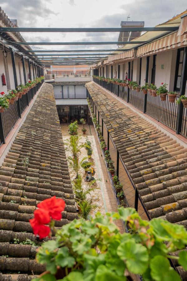 Rentalsevilla Durmiendo En La Alameda Dış mekan fotoğraf